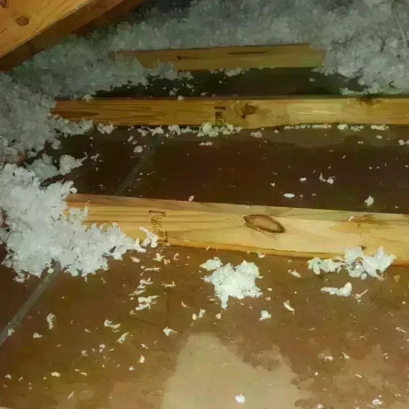 Attic Water Damage in Seagoville, TX